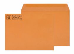 10 x 13 Brown Booklet Envelopes